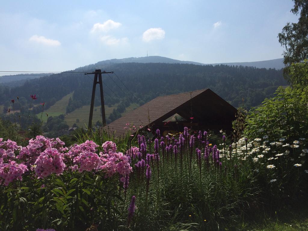 Willa Wierchy Szczyrk Exteriér fotografie