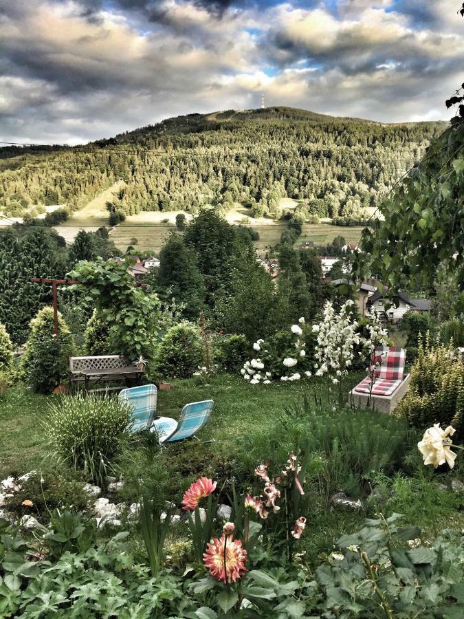 Willa Wierchy Szczyrk Exteriér fotografie