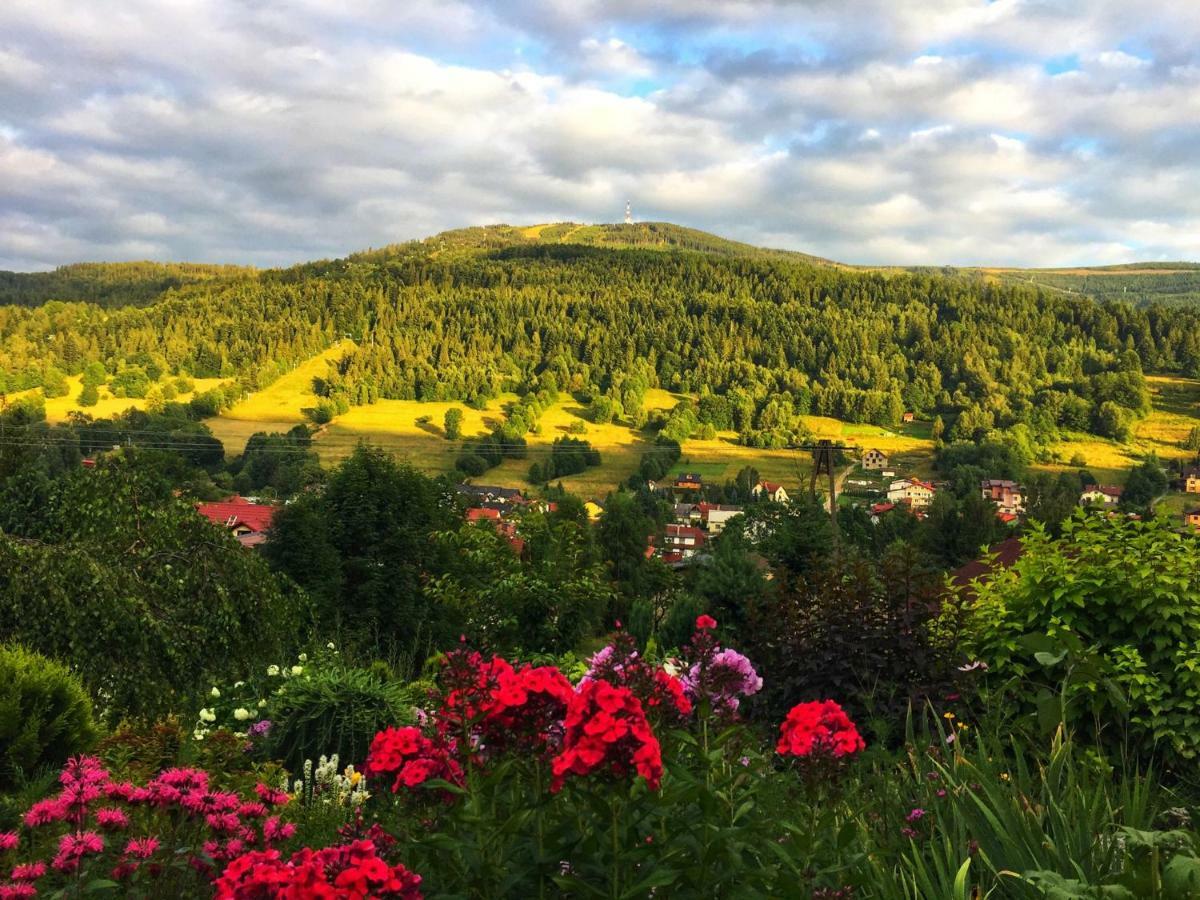 Willa Wierchy Szczyrk Exteriér fotografie